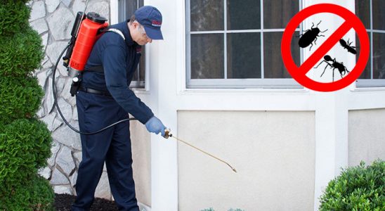 Çerkezköy Gümüşkurt İlaçlama böcek ilaçlama ve haşere kontrolü — ilaclama-tr.com